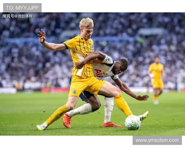 热刺已将种族歧视事件上报警方